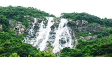 春雨直播app